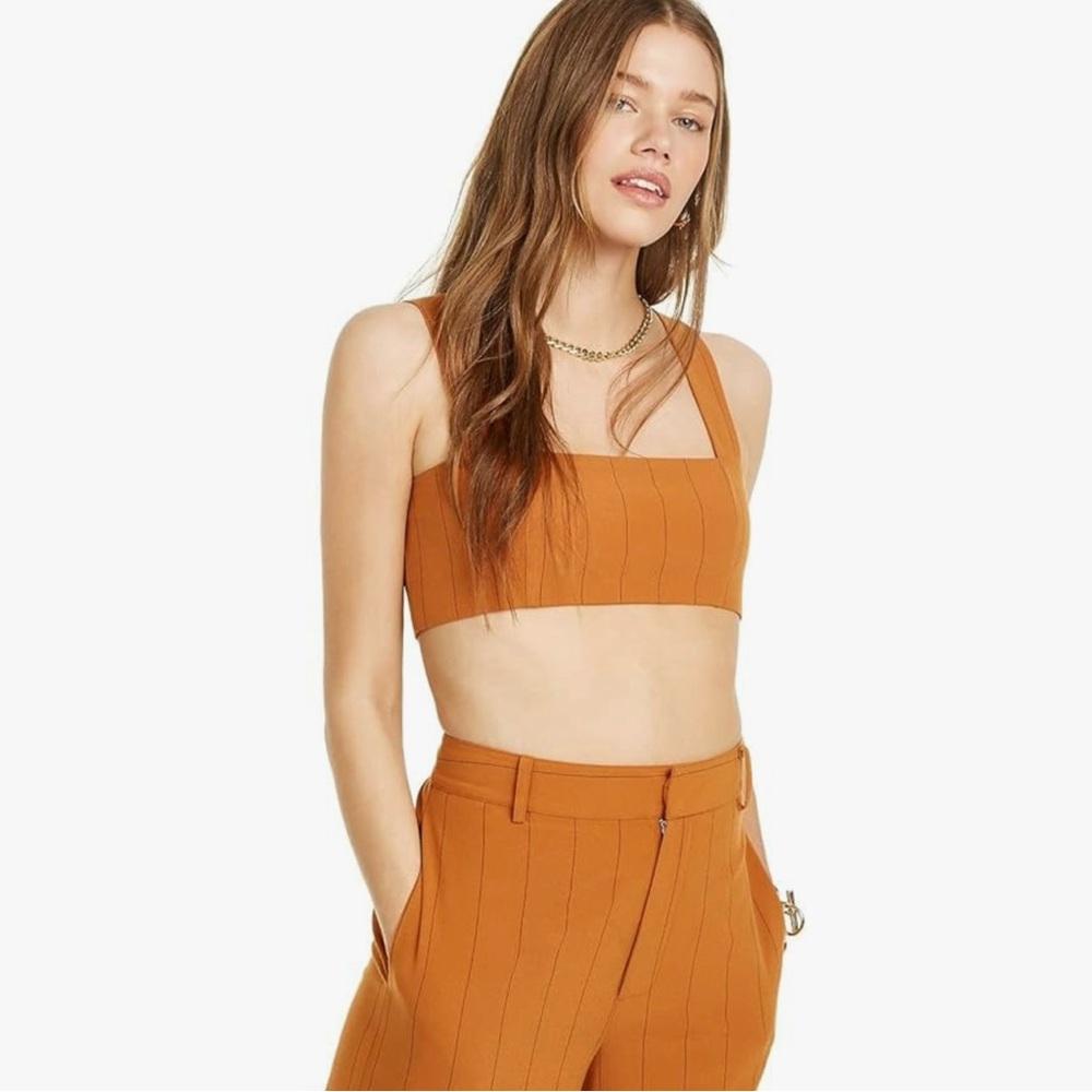 Danielle Bernstein ~ Macys Rust Pinstripe Crop Top 10 NWT